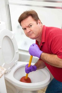 Las Vegas Toilet Repair Services