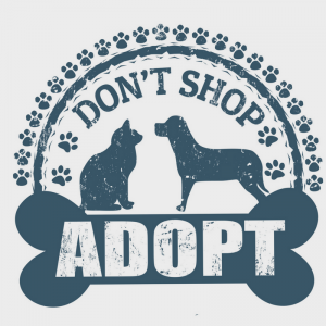 adopt-dont-shop